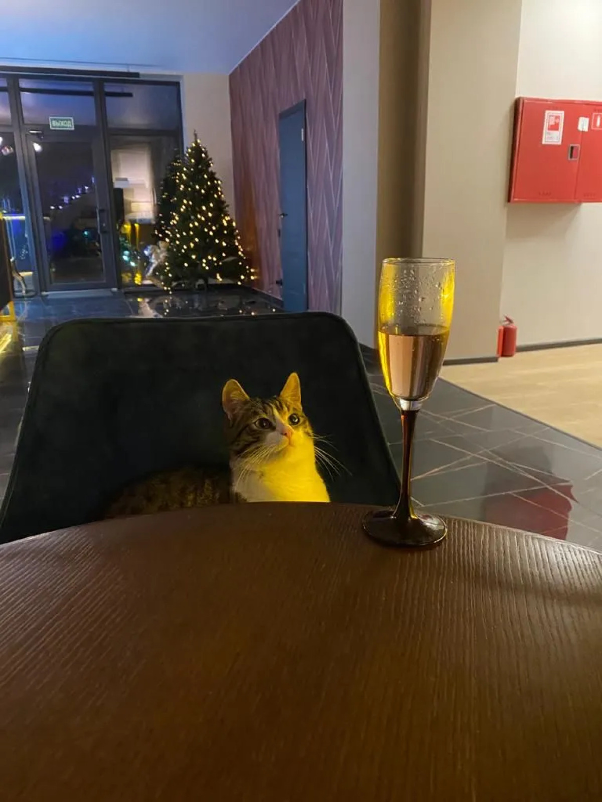 Гостиница Нotel 1963