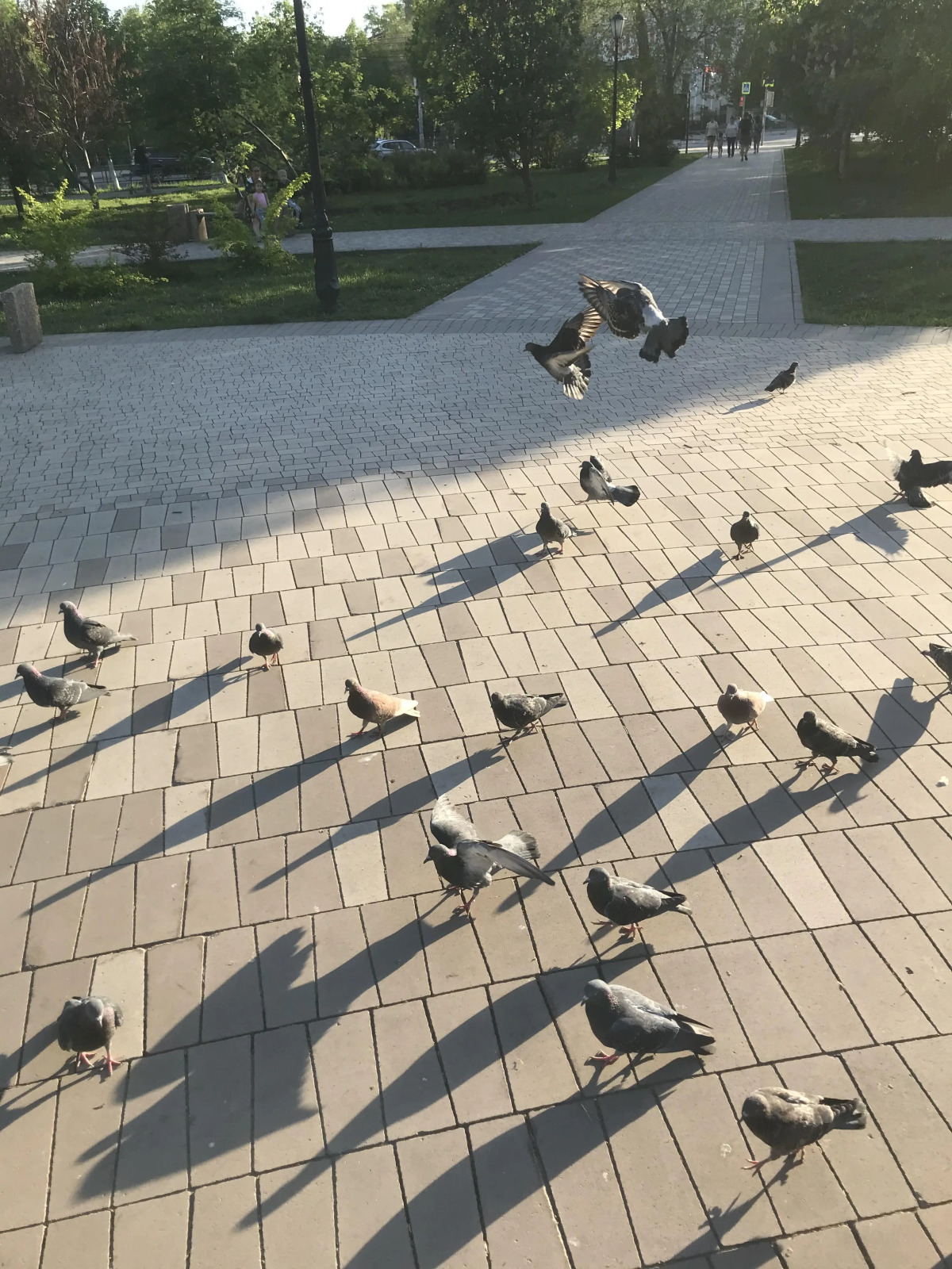 Квартира на Арцыбушевской 45/4