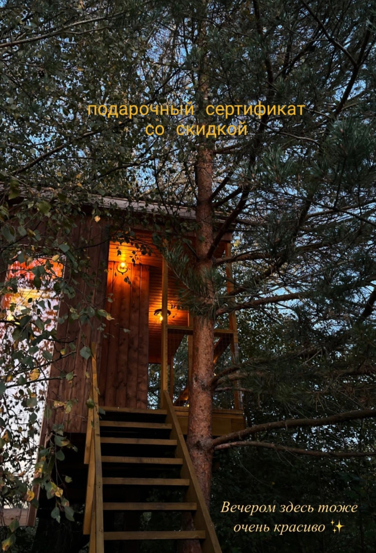 Гостевой дом Дом на дереве