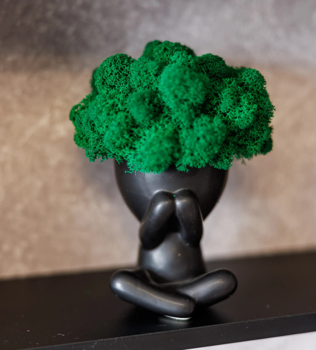 Квартира на Фрунзе 6