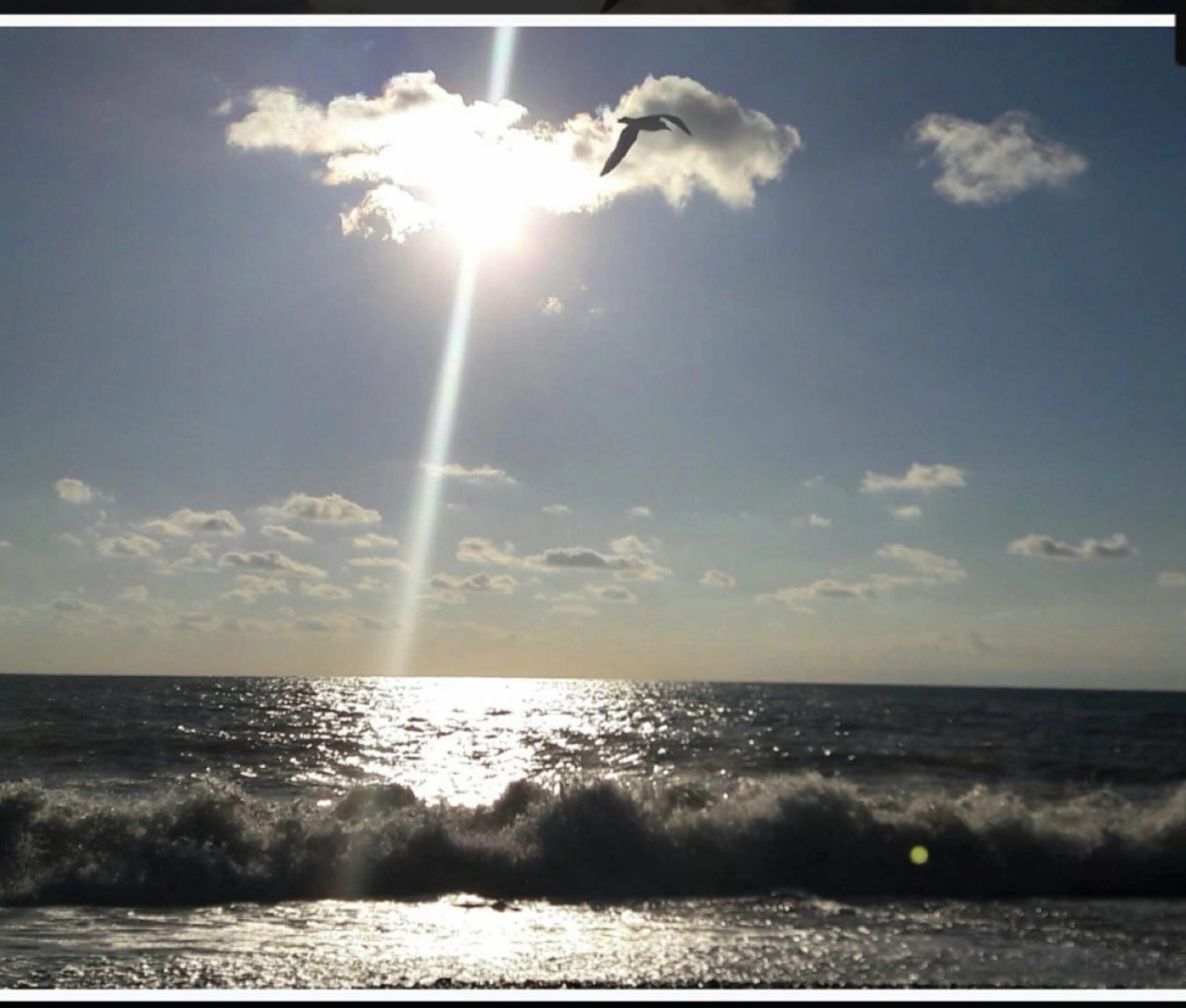 Отель Парк-отель Rivas