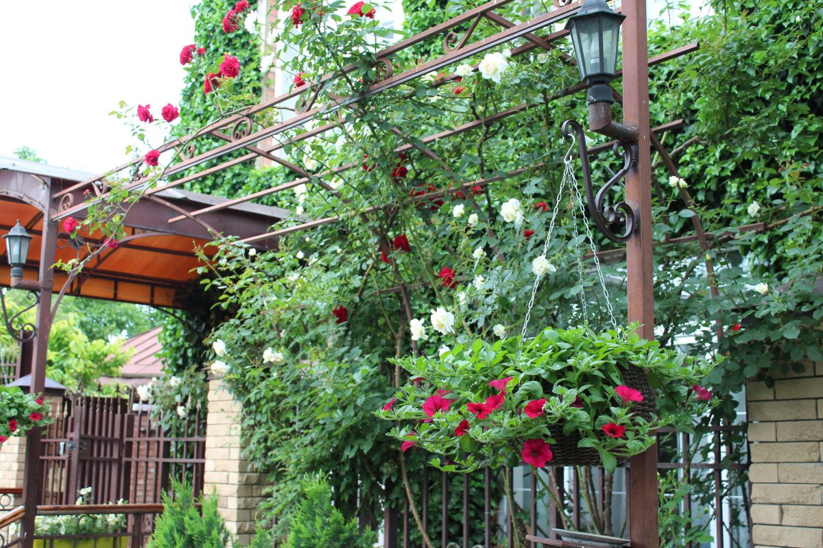 Гостевой дом У Друзей