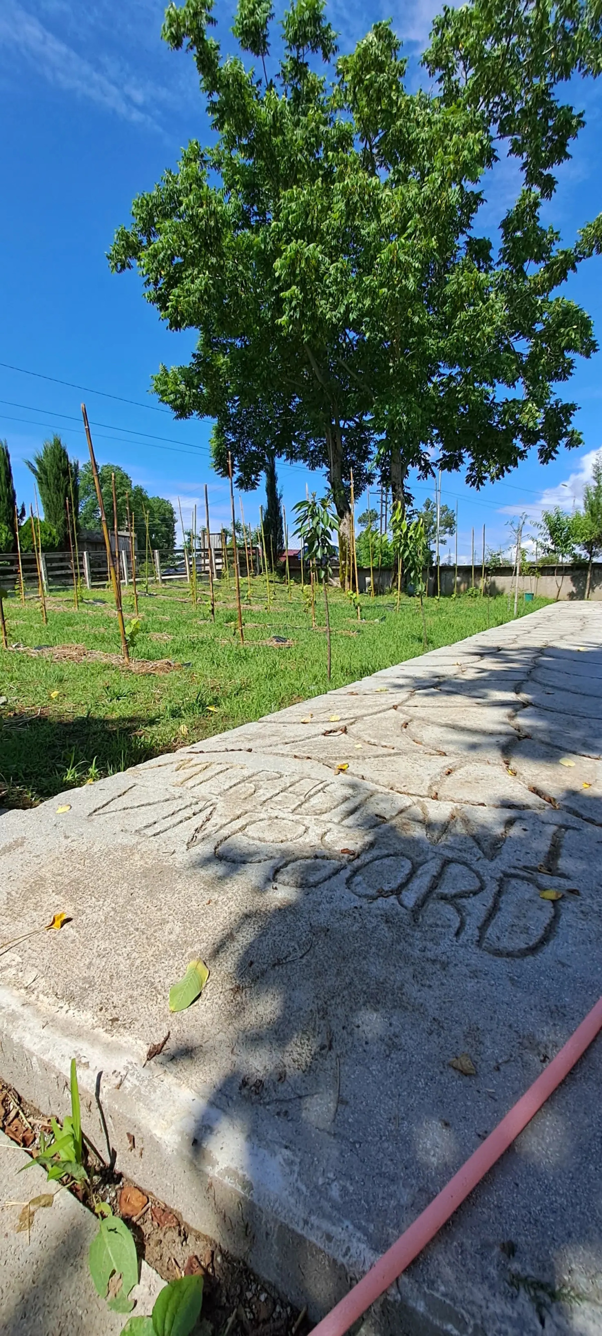 Апарт-отель Mtrediani Wine Lodge