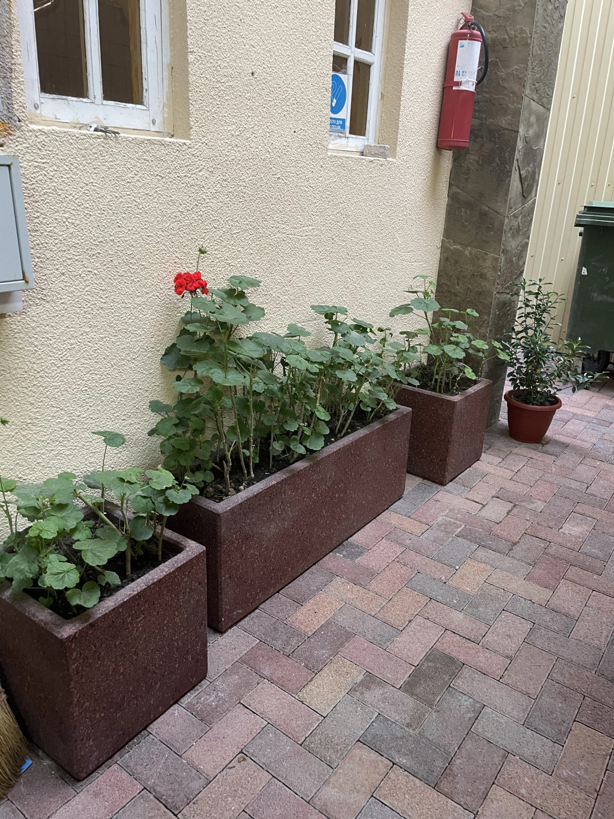 Гостевой дом Рузанна инн