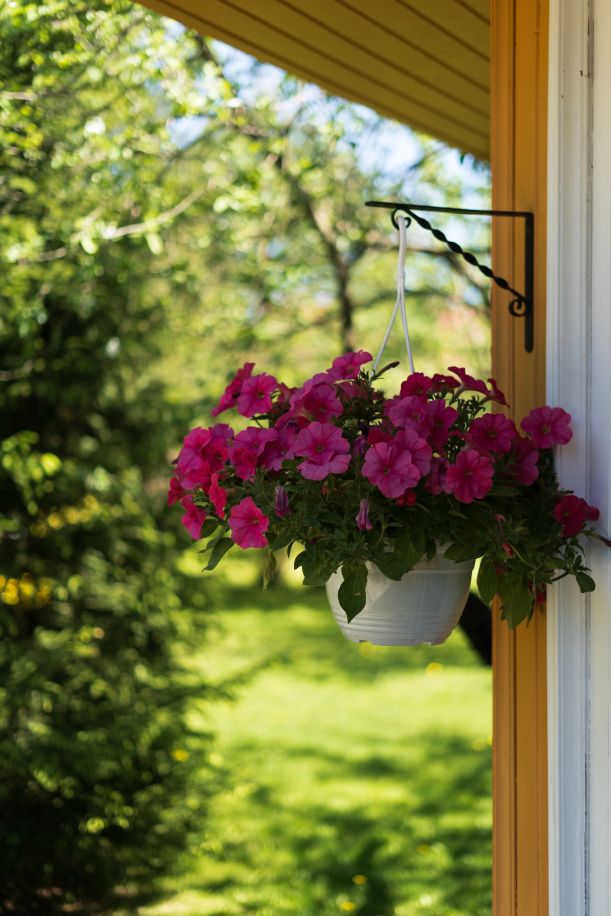 База отдыха Антлер