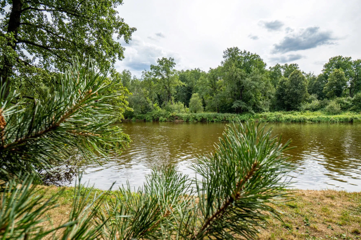 Санаторий Русский лес