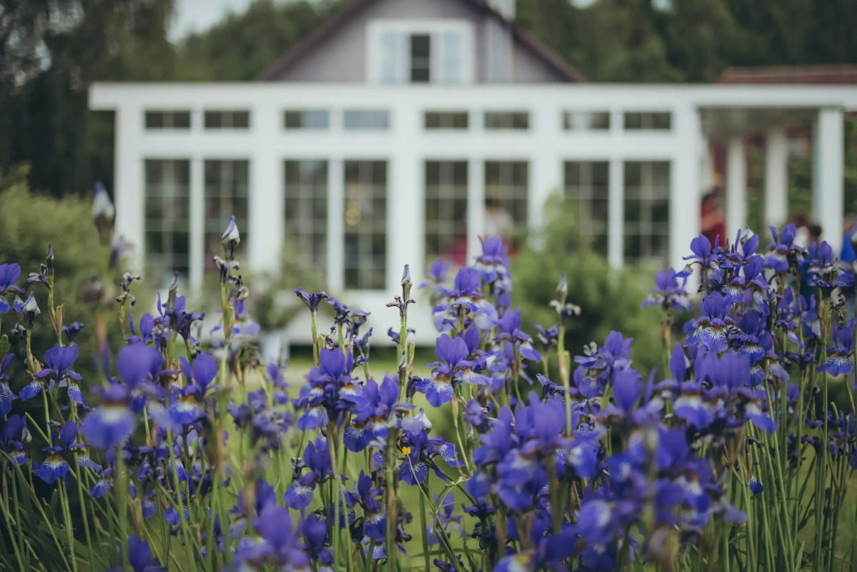 Гостевой дом Галерея