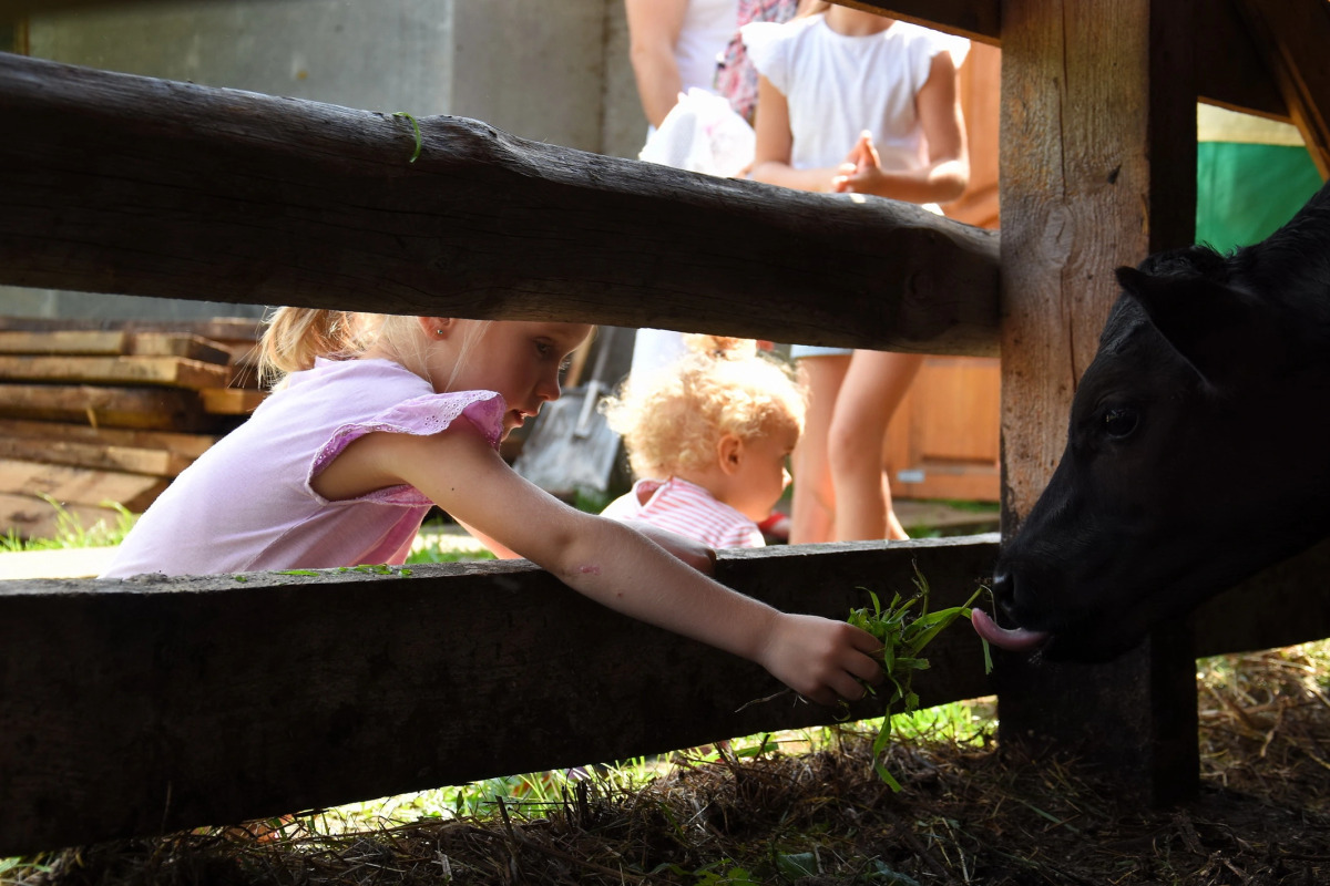 Отель ВКС-Кантри