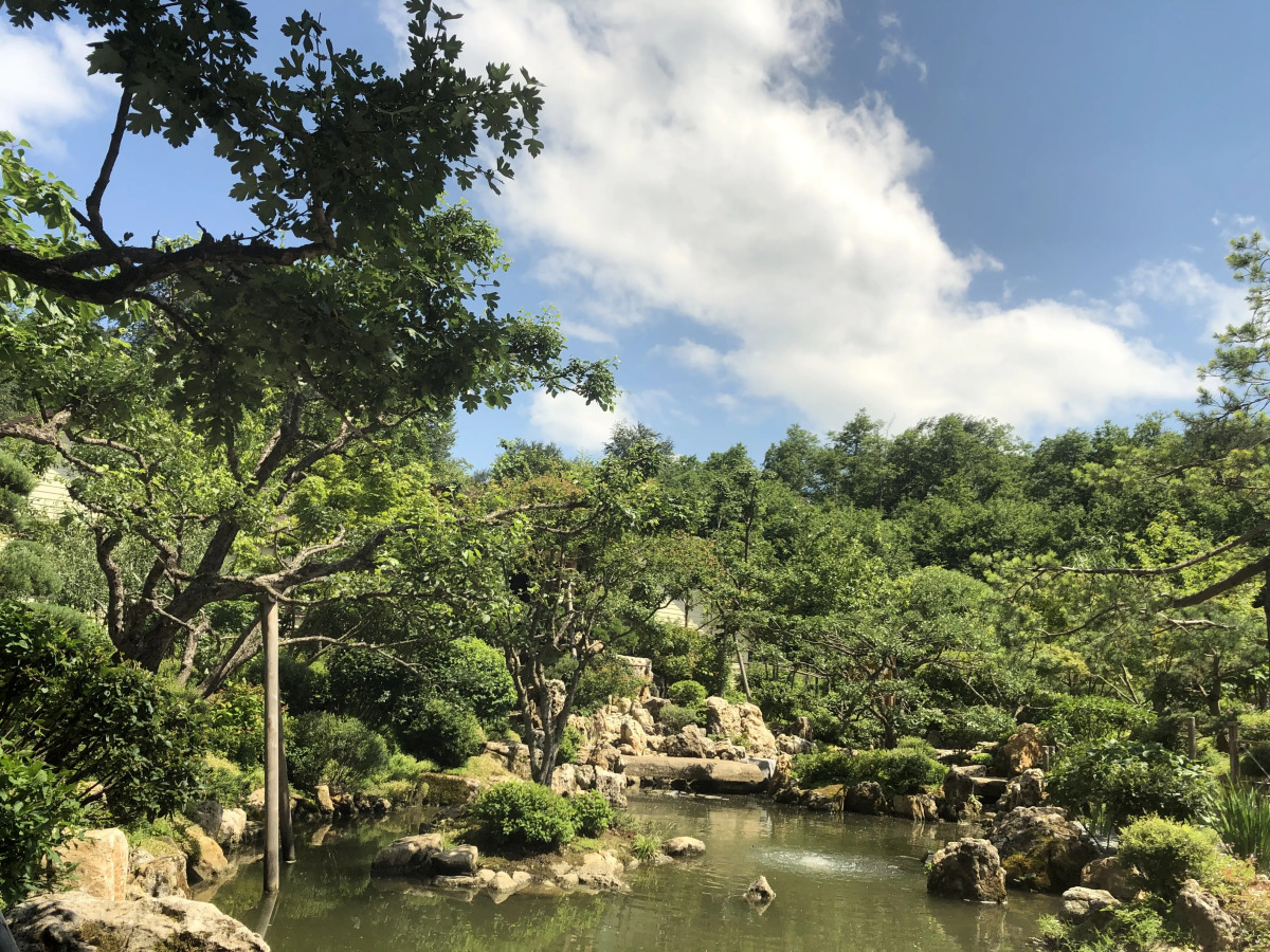 Парк-отель Пихтовый Бор