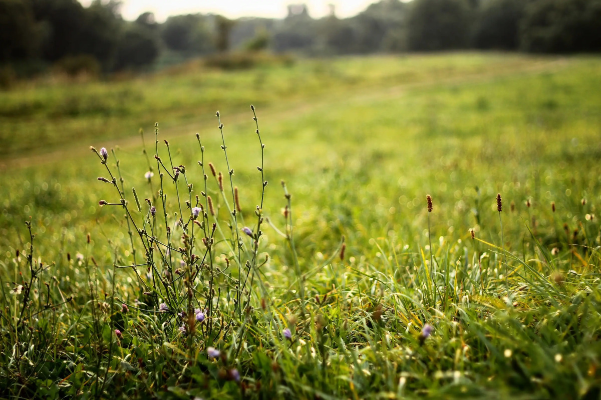 Гостевой Дом Агроусадьба NaraEcoHills