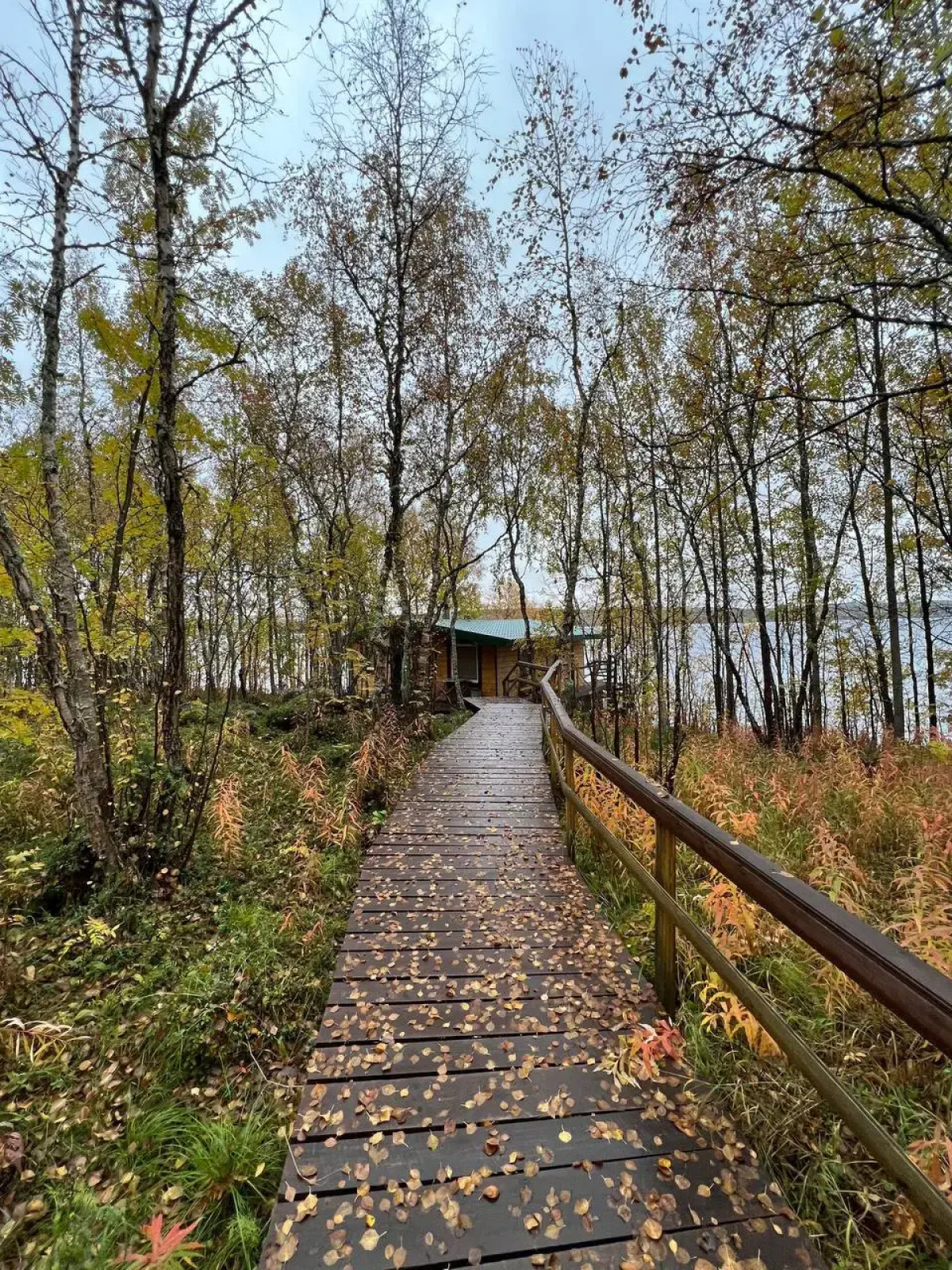 Парк отель в Тайге