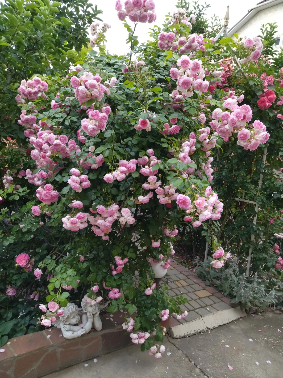 Гостевой Дом Елена