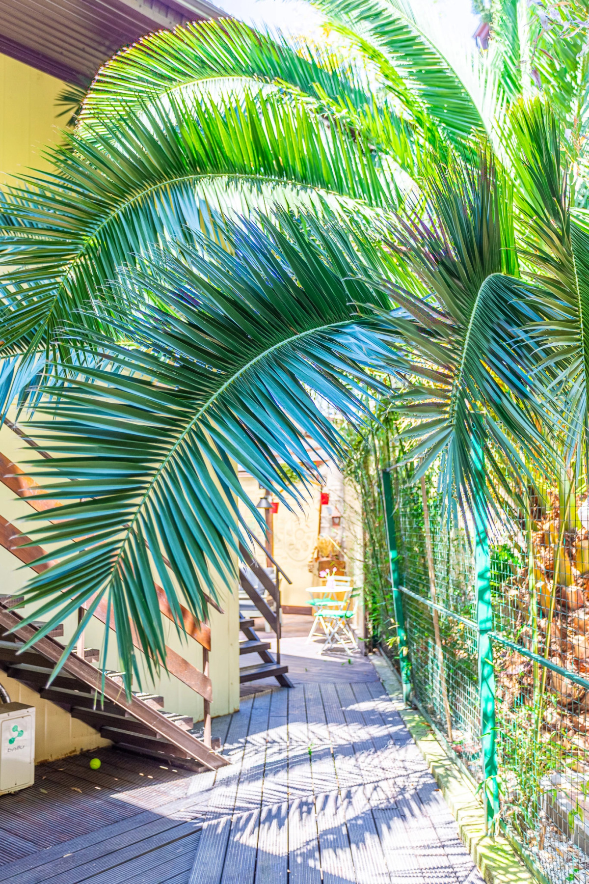 Гостевой Дом Бамбук-Хутор