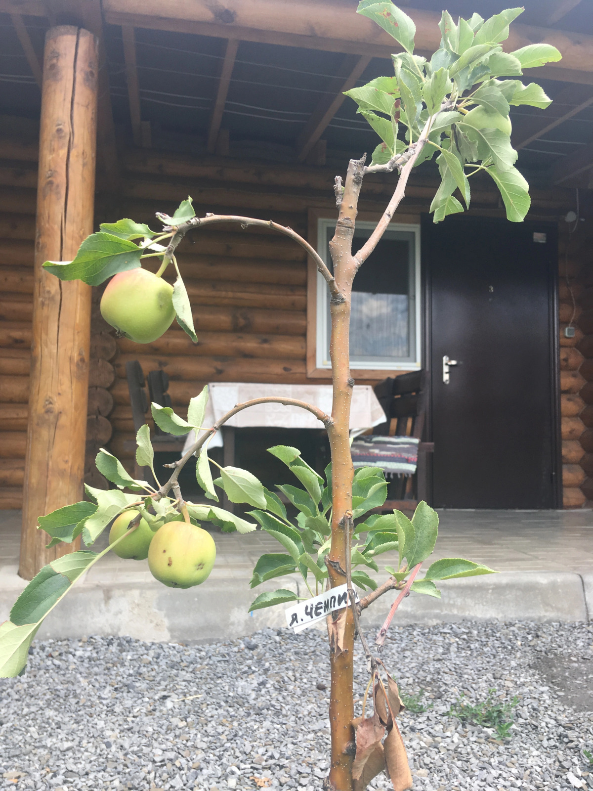 Belyij Dom Na Trasse M4 Don Hotel	