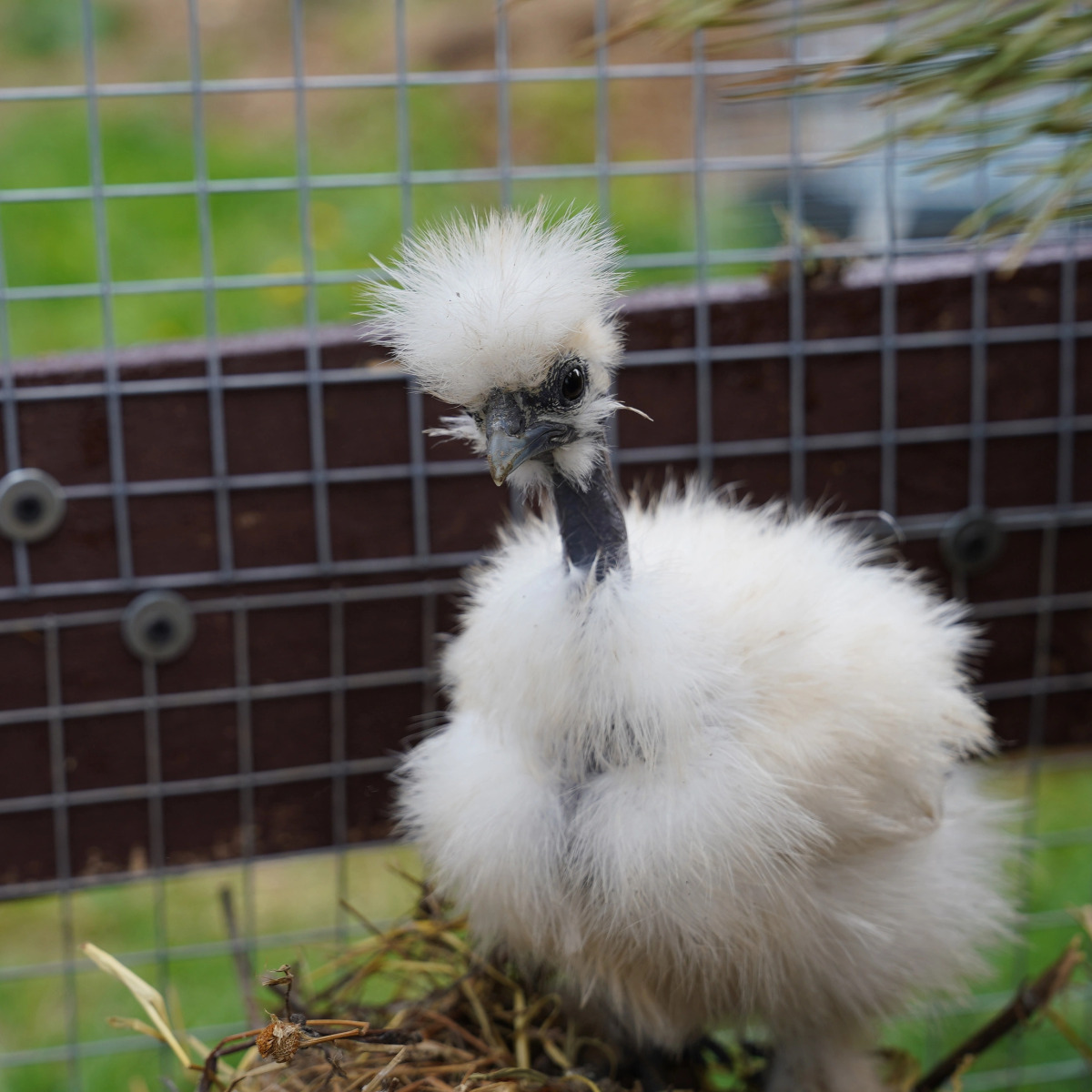 Дом Уютный в стиле Прованс