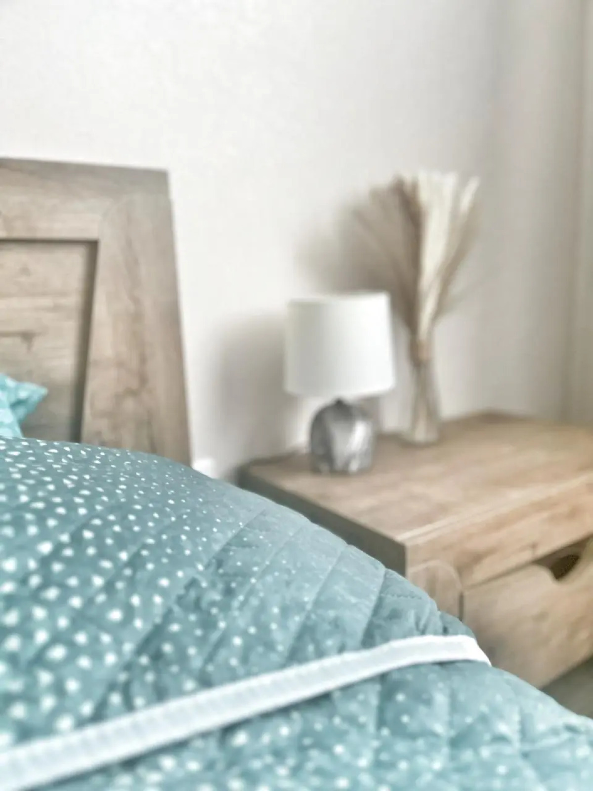 Квартира Елена Озерки