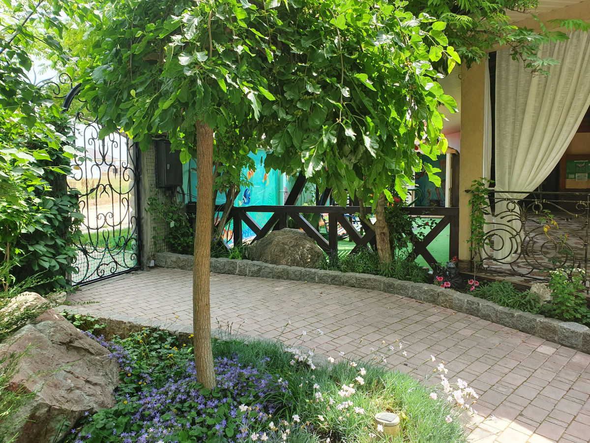 Гостевой дом Большая медведица