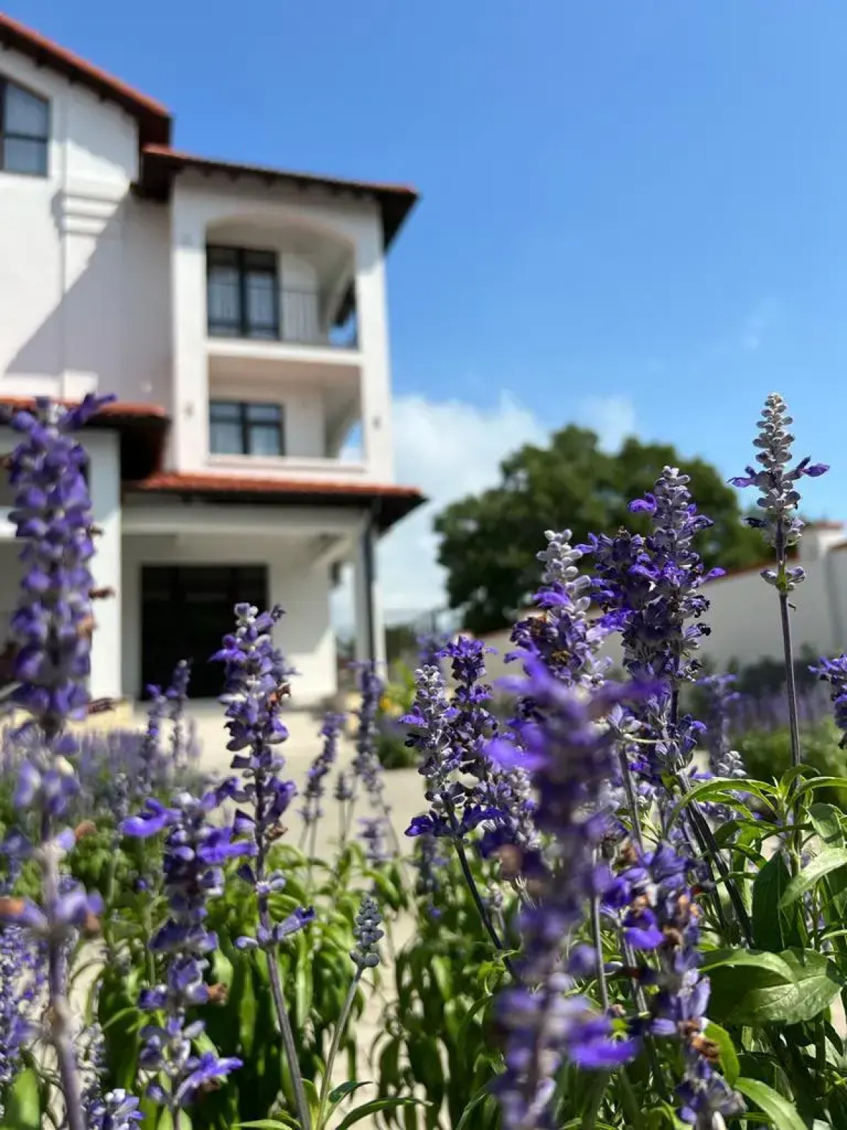 Вилла Анна Делюкс