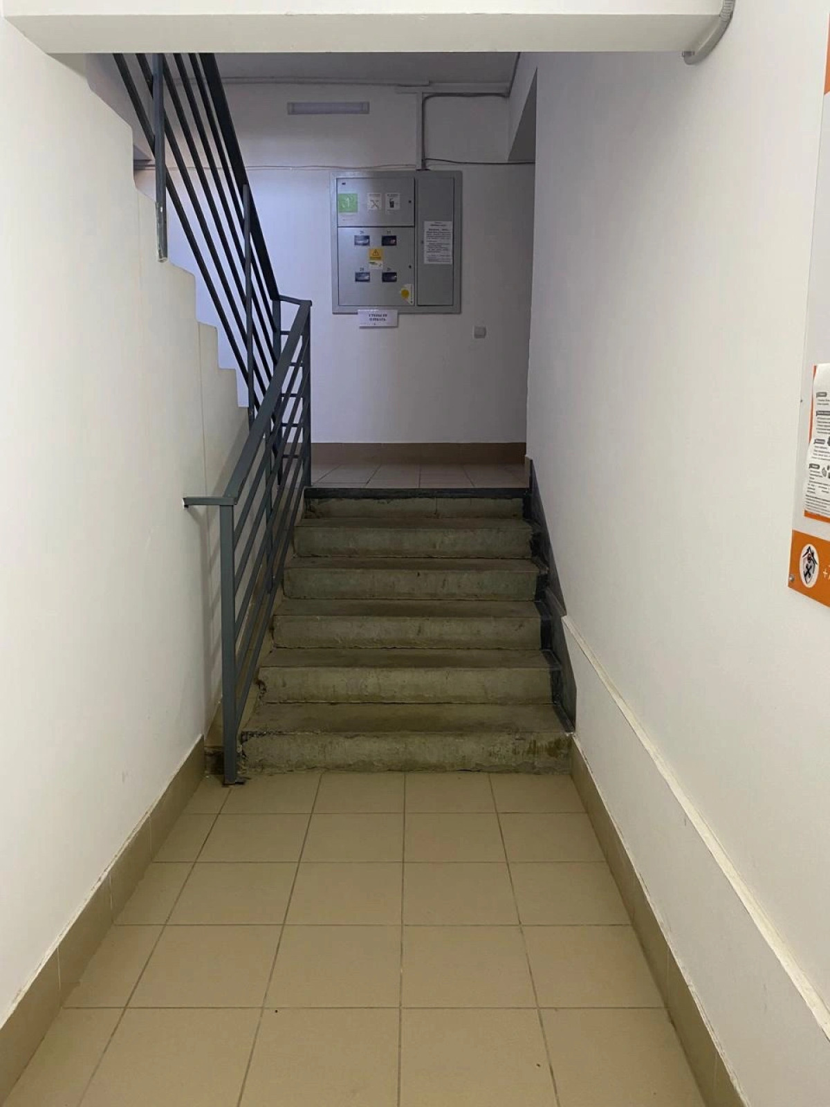 Квартира ElKvartira