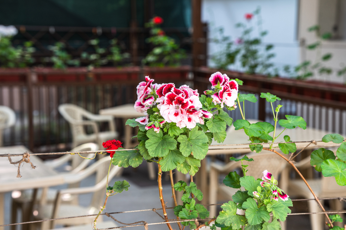 Гостевой дом "Солнечный"