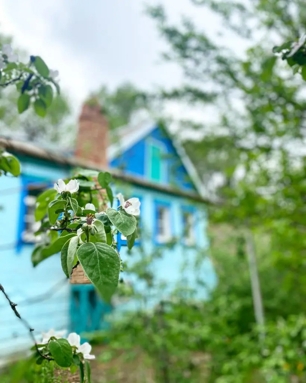 База отдыха Домик в Лотосах