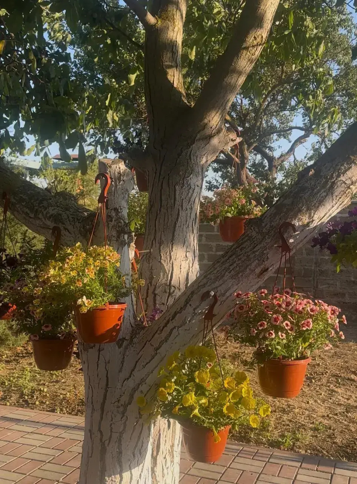 Гостевой дом Морская сказка