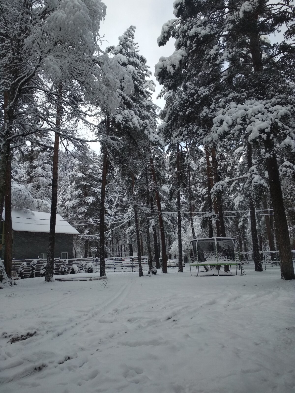 База отдыха Архыз Форест Эко