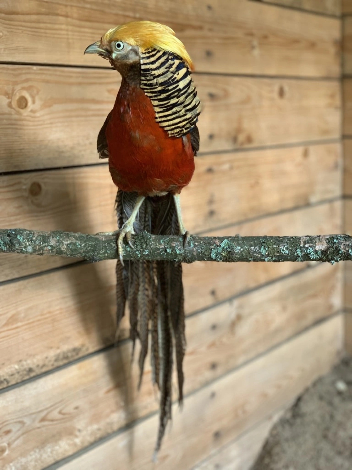 База отдыха ZAгород