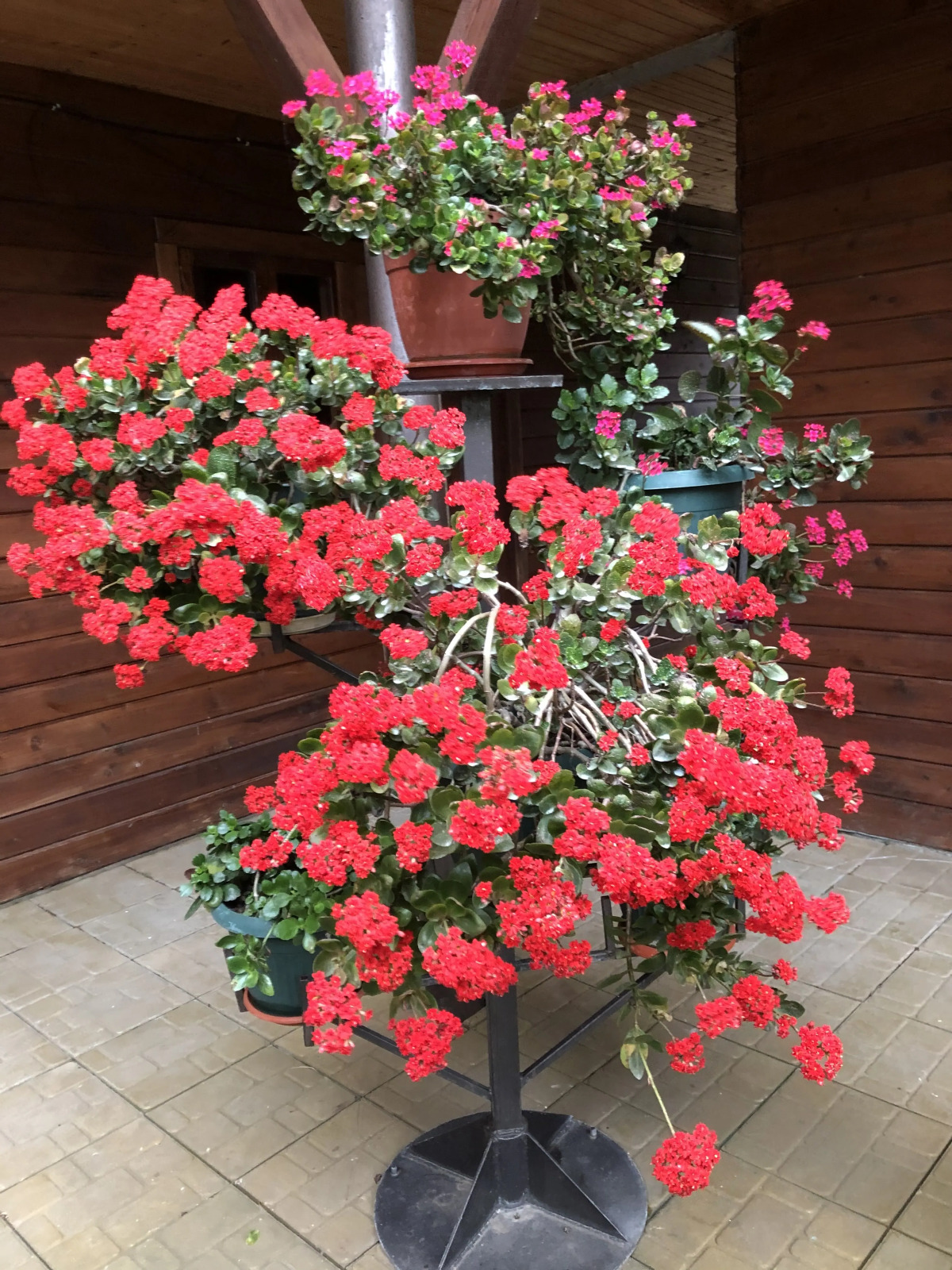 Гостевой дом Морская сказка