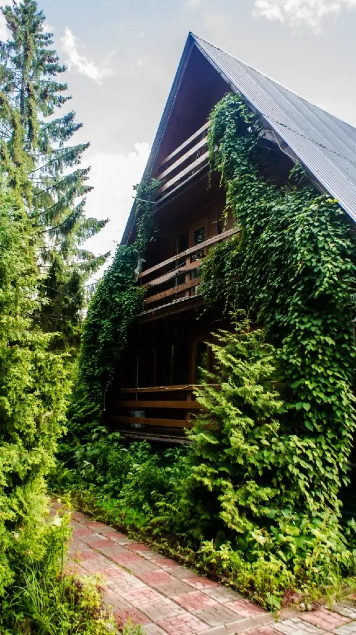 Мини-Отель Альбатрос