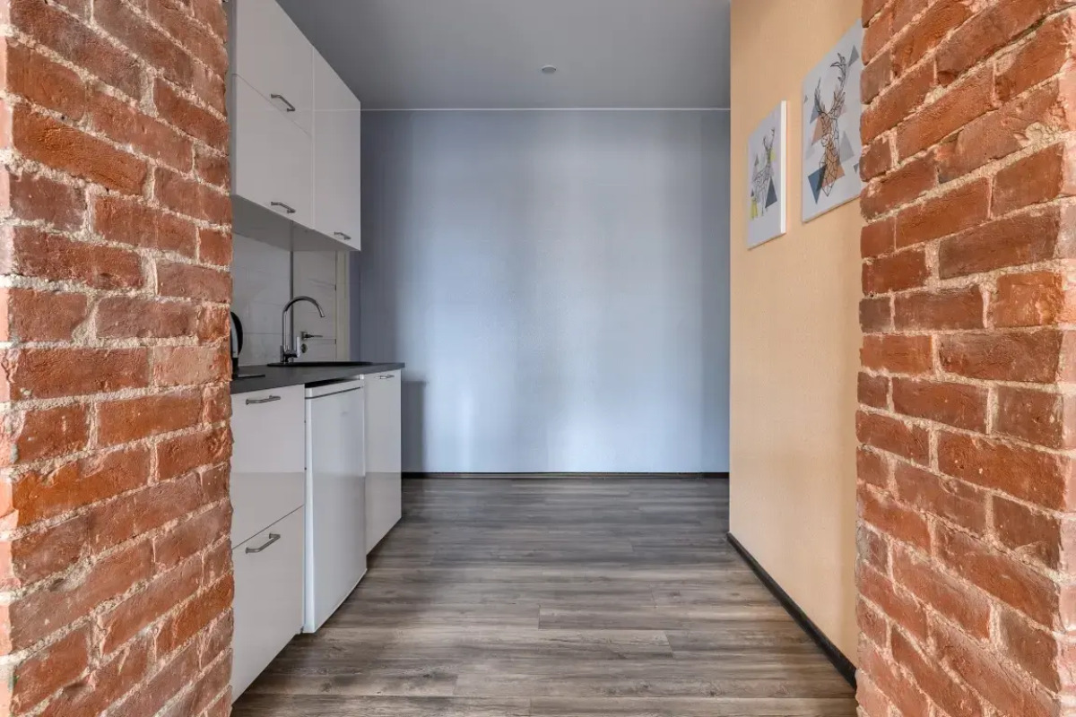 Апартаменты Улучшенные СуткиСпб Василеостровская