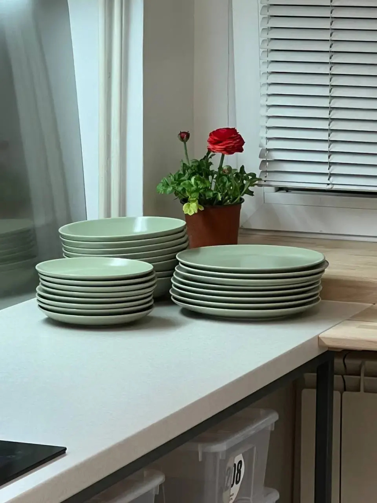 Хостел Cabbage Hostel