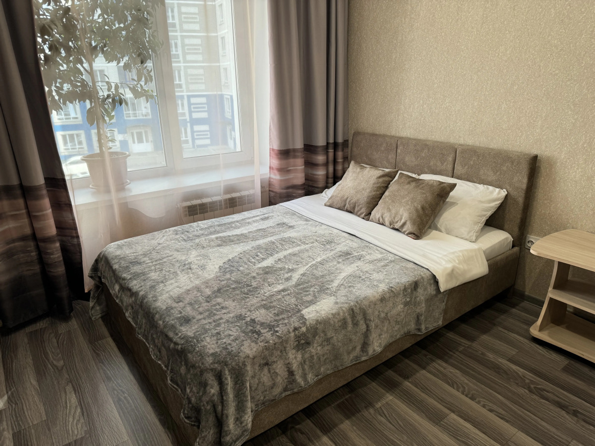 Апартаменты Кирова 206А