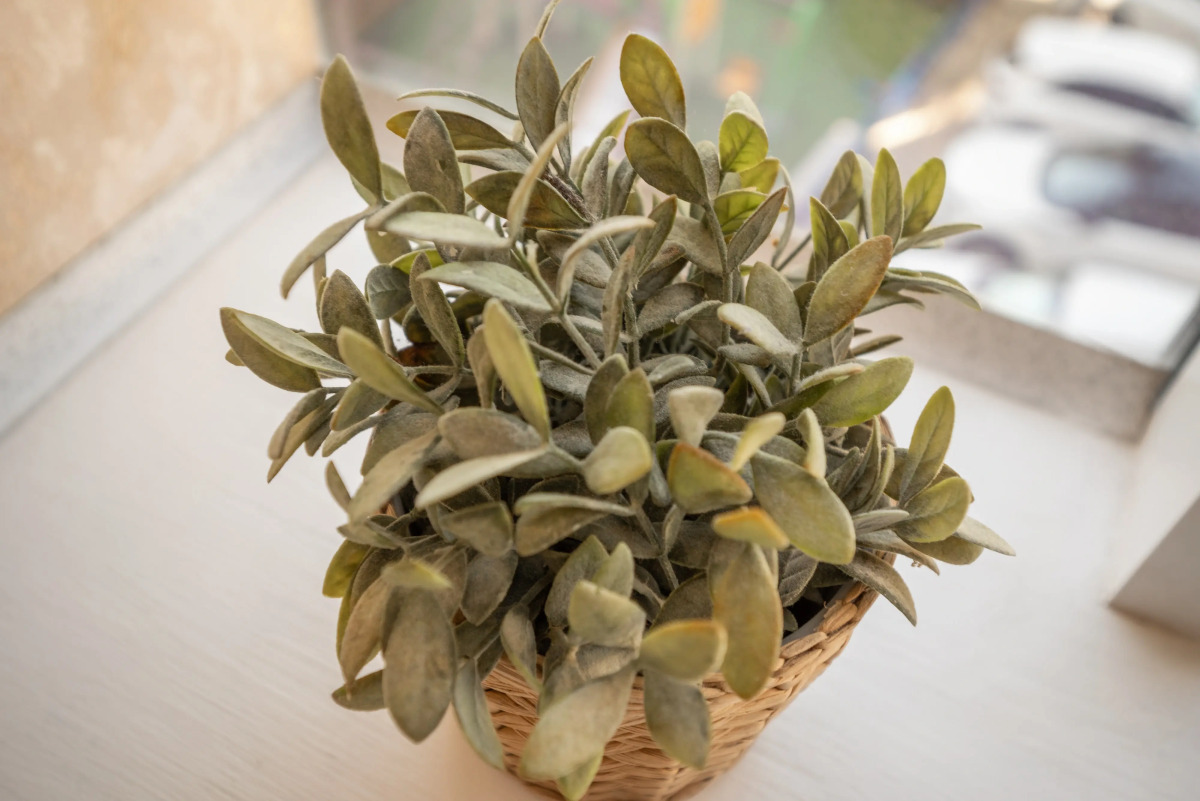 Апартаменты Место под солнцем 8