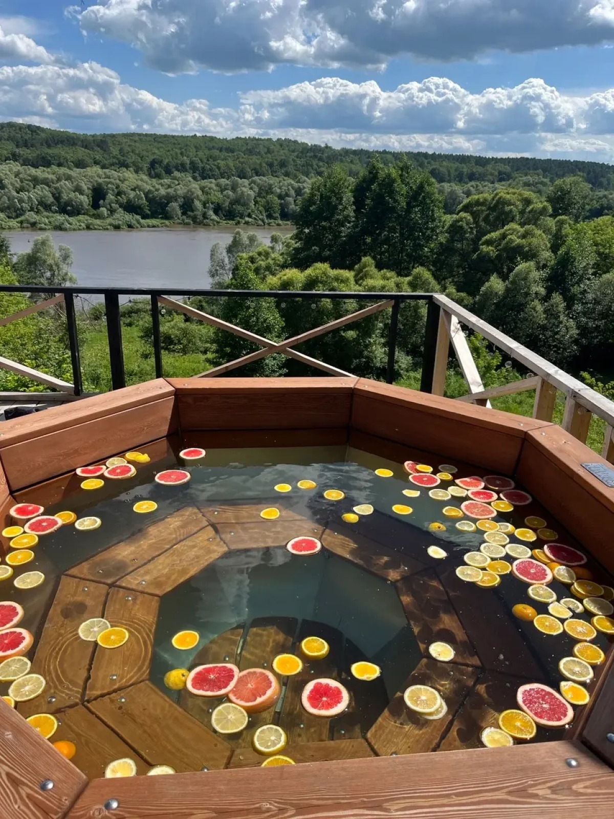 Глэмпинг Глэмпгеокупол "Домик на Оке" Таруса