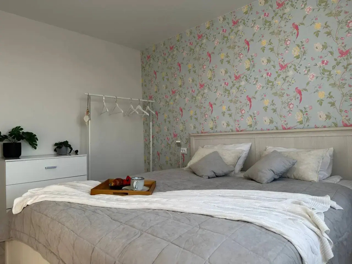 ДзенХоум Энергия 50