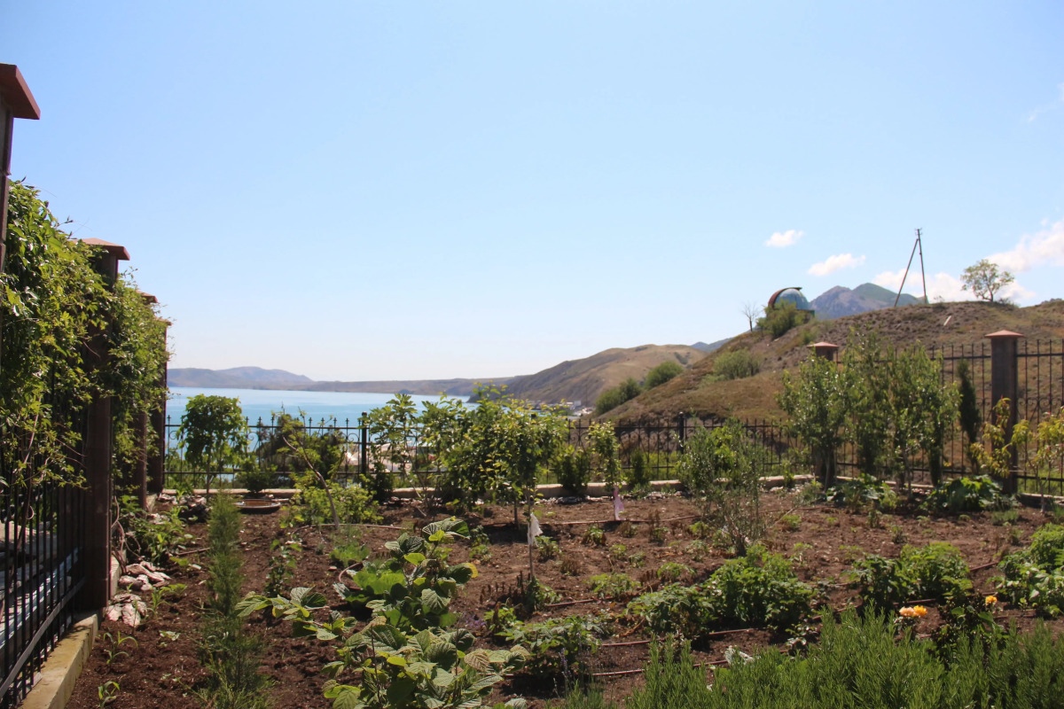 Апартаменты Авокадо