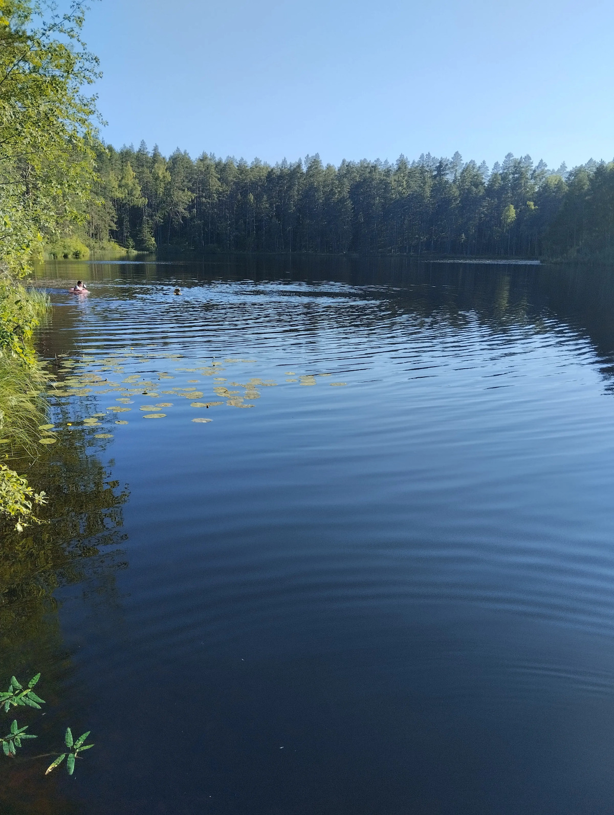 Частный дом Среди озер