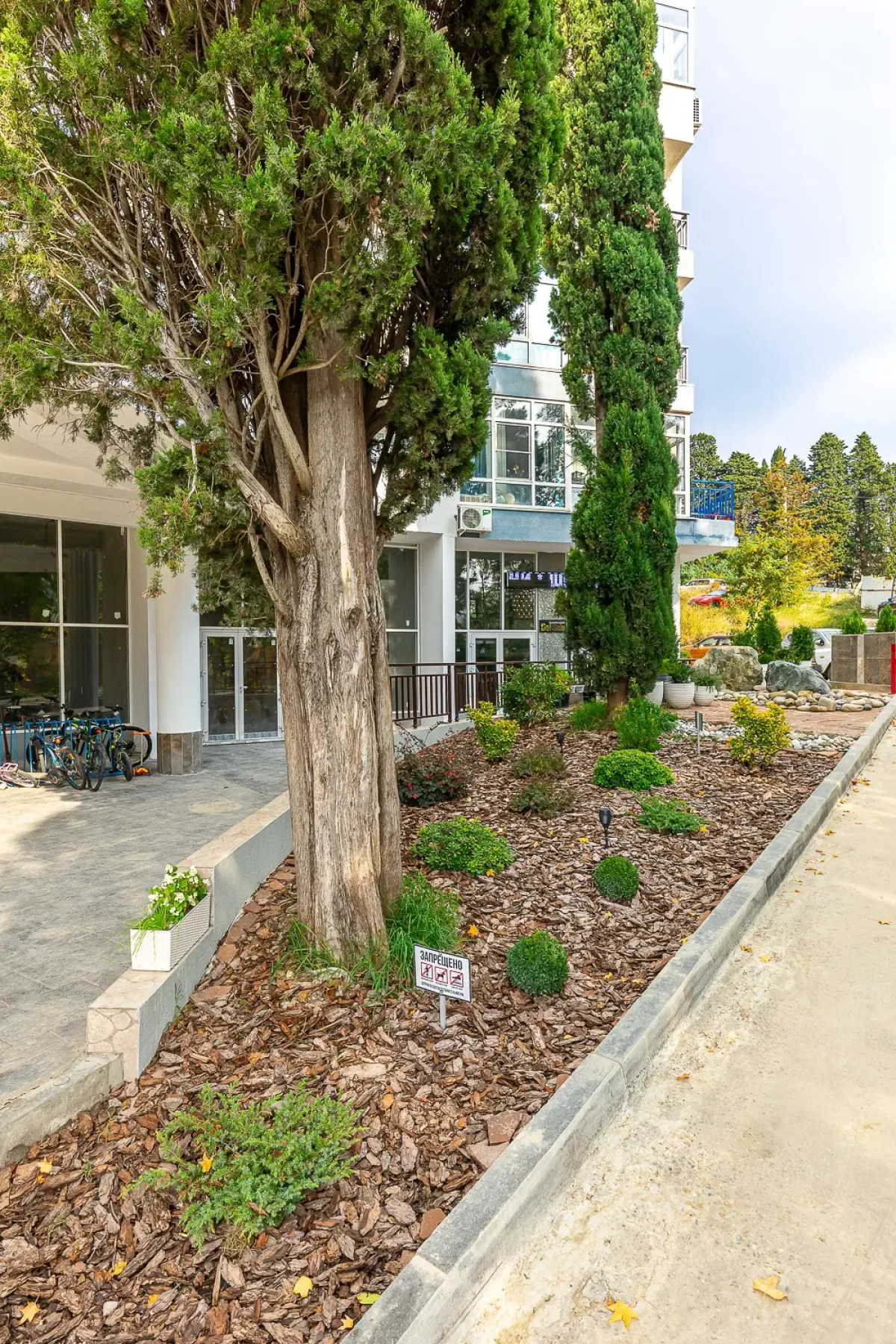 Апартаменты Студия ЖК Москва Город Сочи