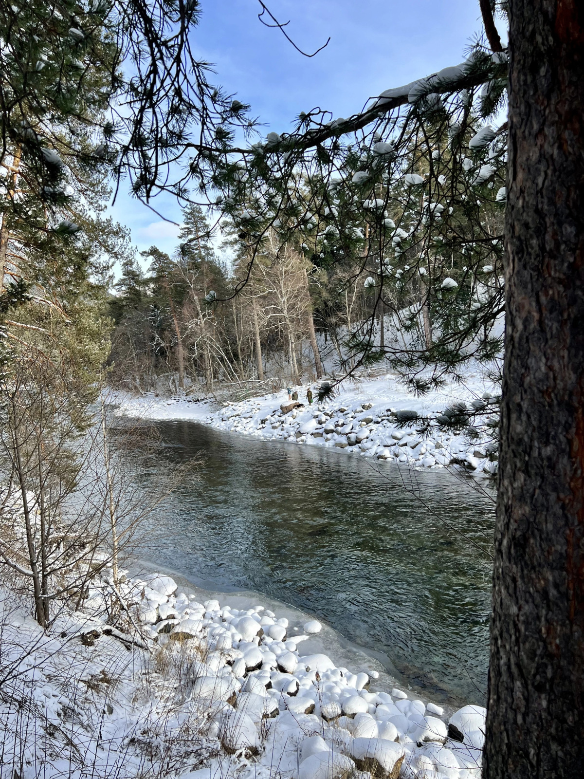 Глэмпинг The Лес