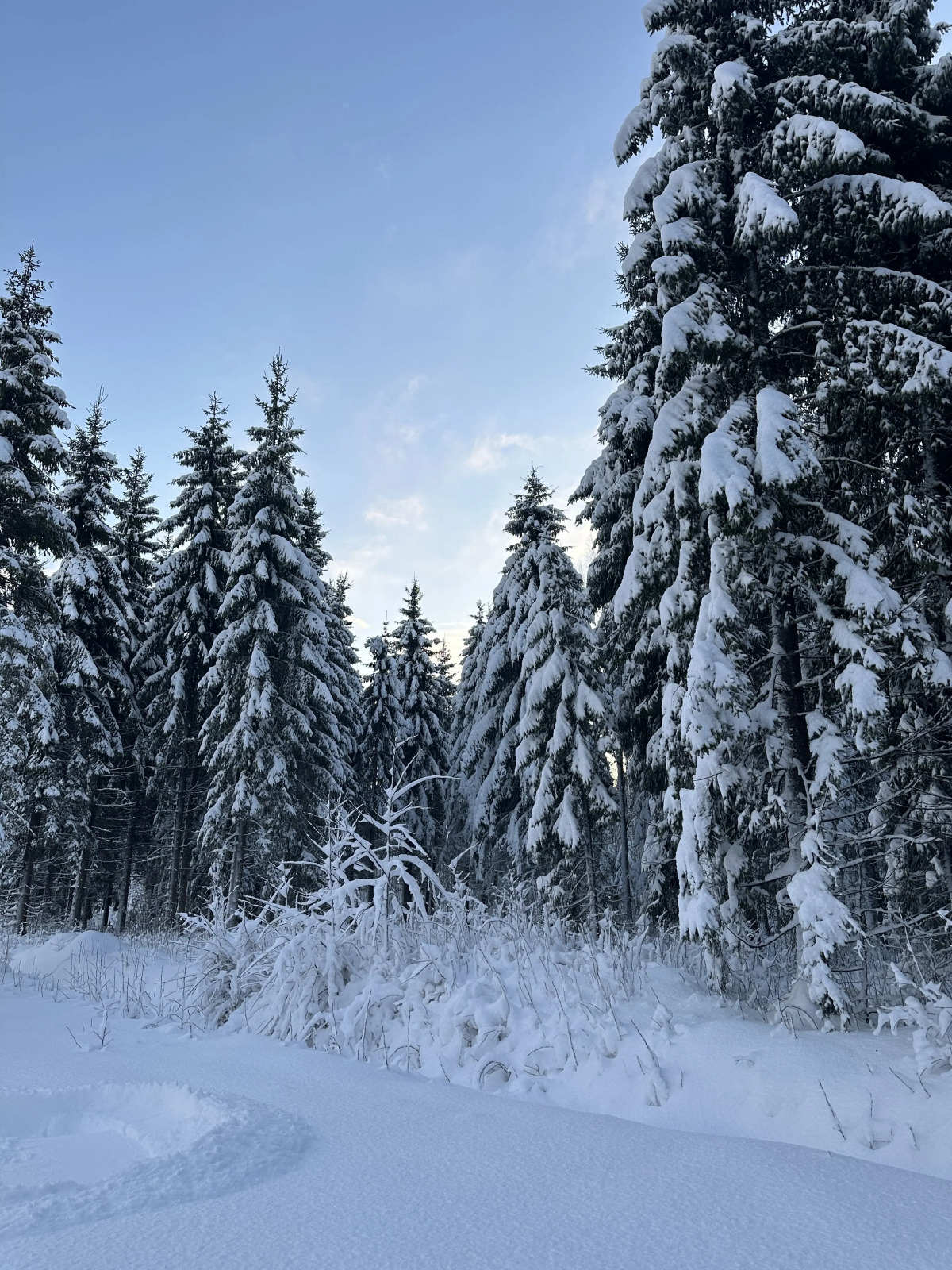 Частный дом Scandi house