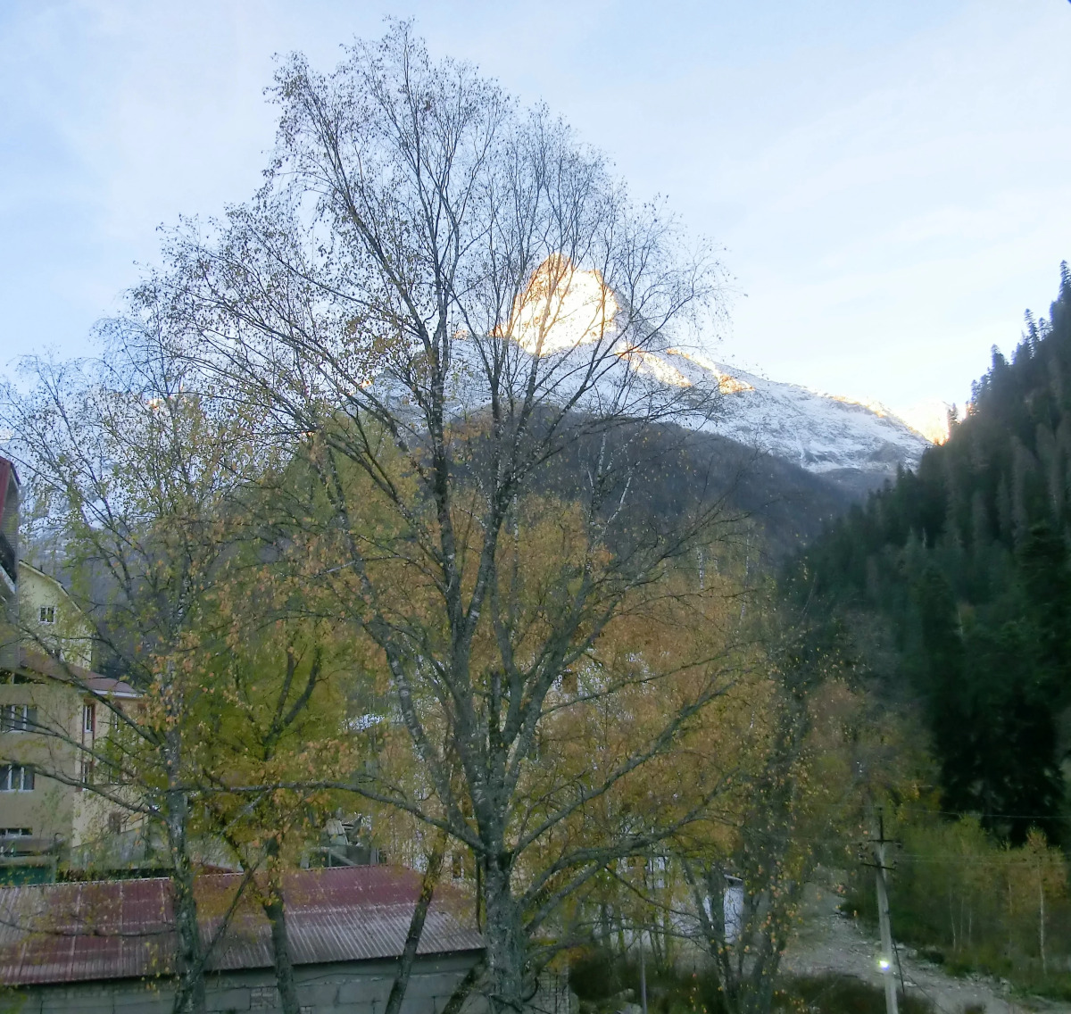 Отель Айс Черри Домбай