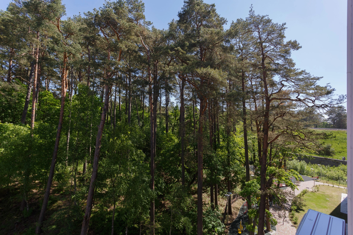 Апартаменты Silent Lake