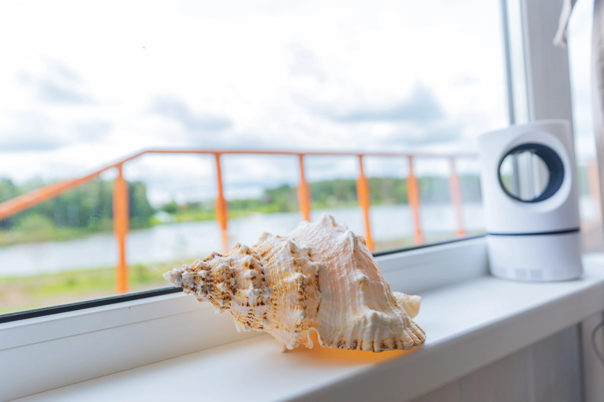 Глэмпинг Катин клёв