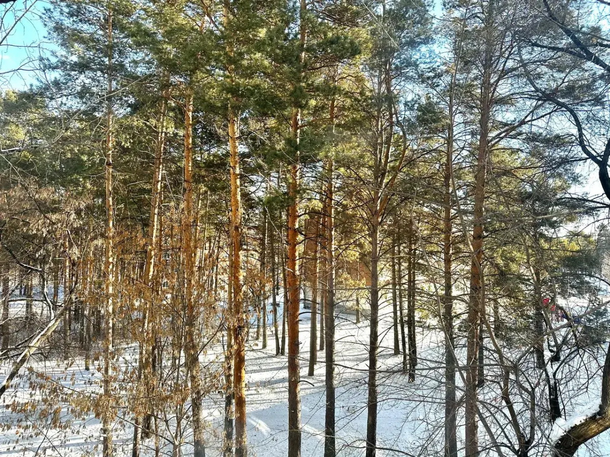 Квартира студия в самом центре с парковкой