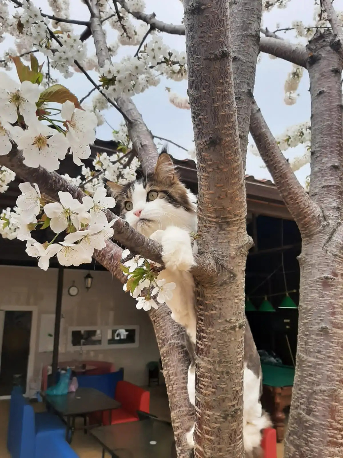 Гостевой дом Радужный