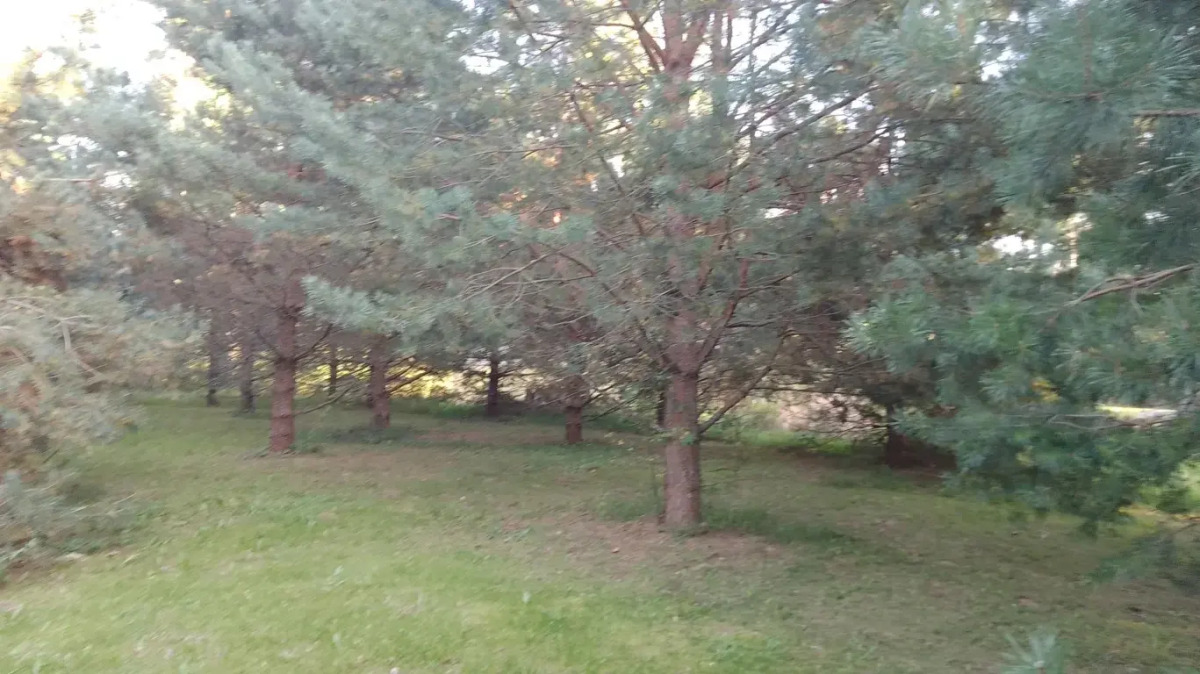 Частный дом Хитрый Лис 1