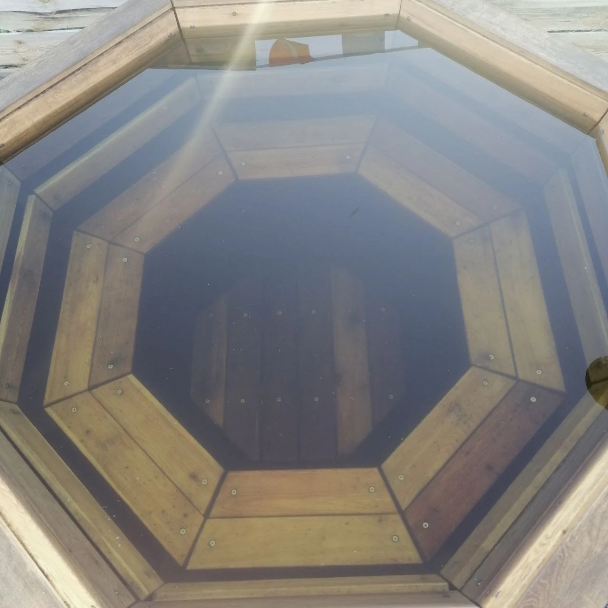 Глэмпинг Папоротник