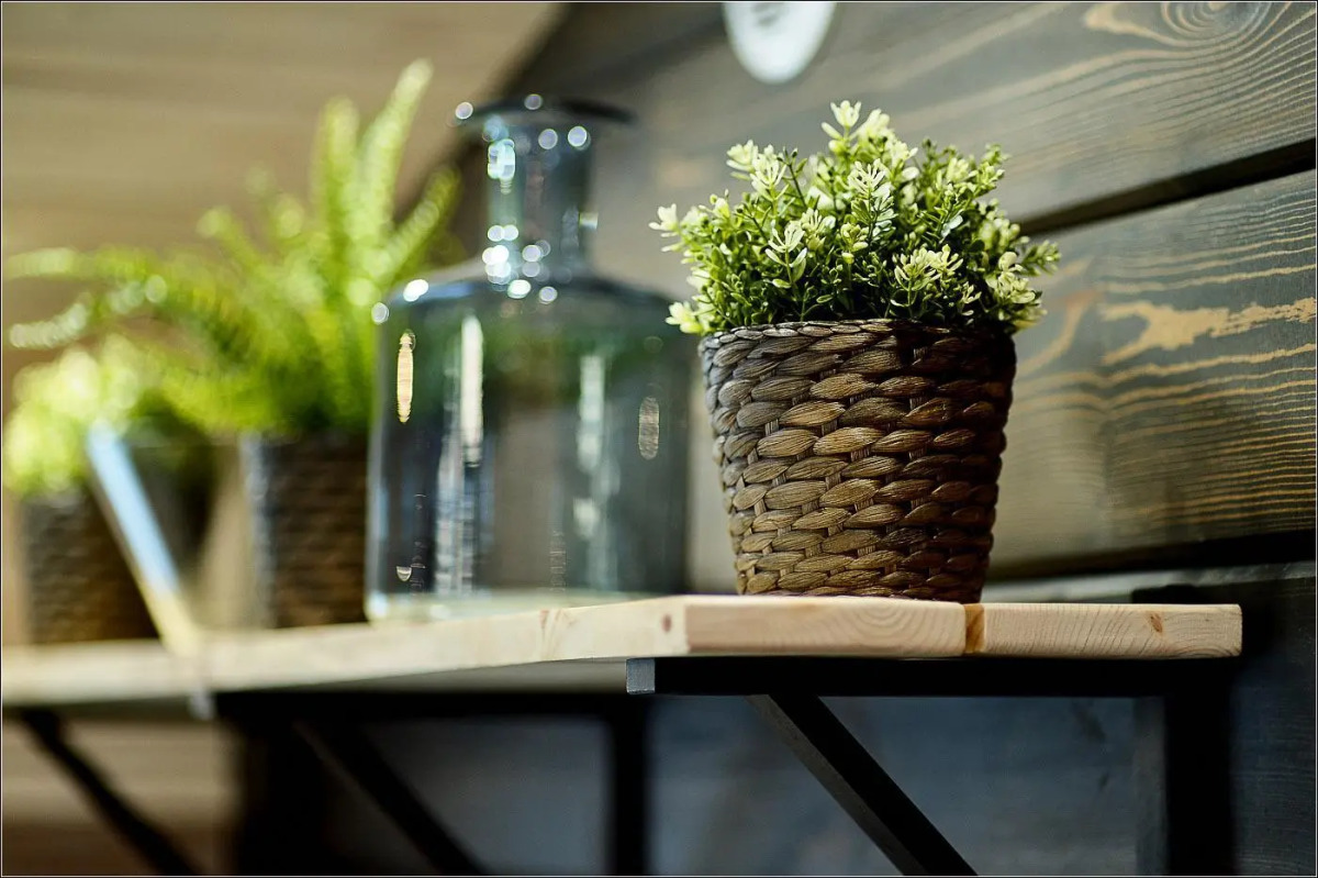 Парк-отель Камчатка Форест Лодж