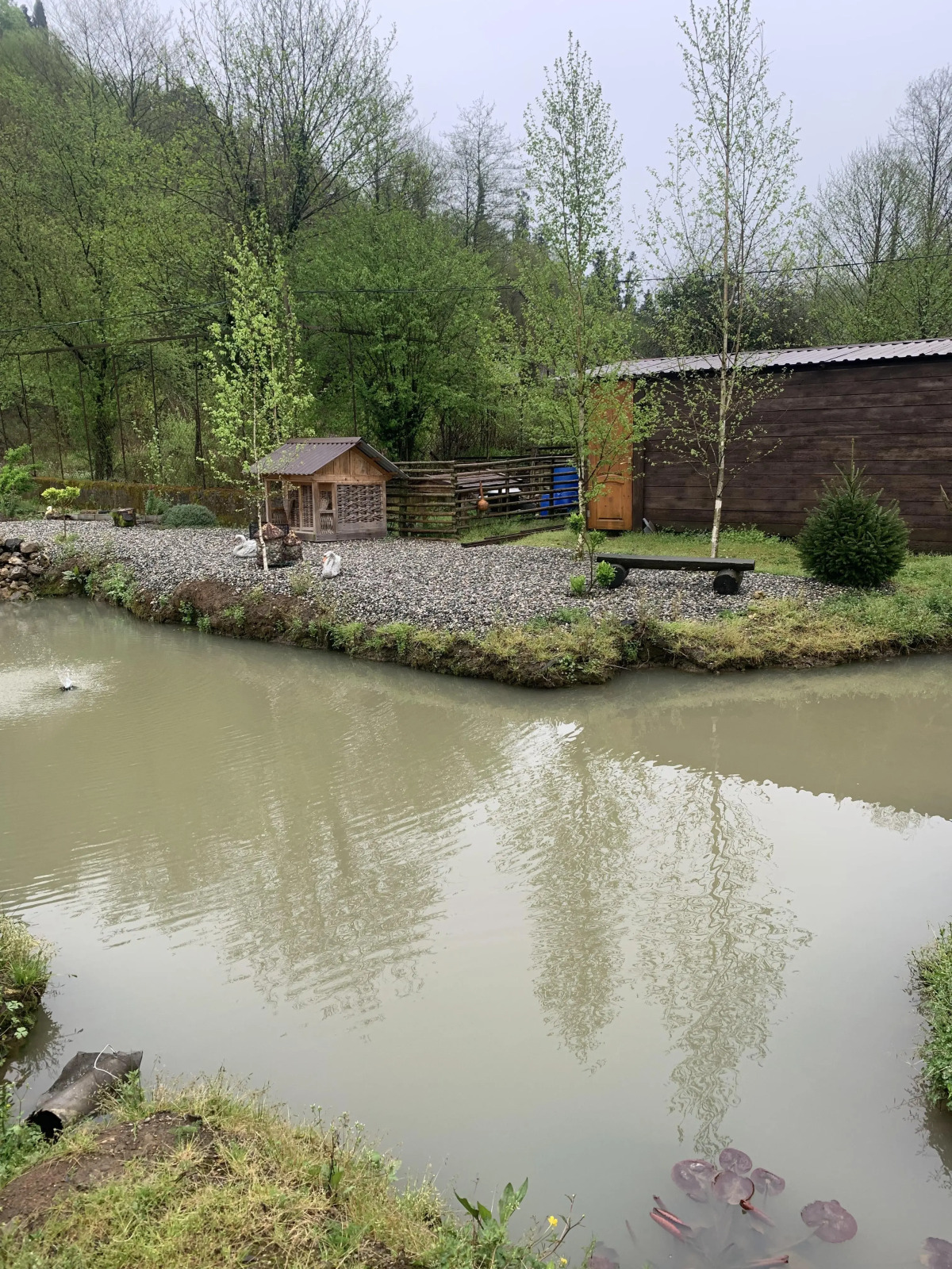 Гостевой дом Olginka